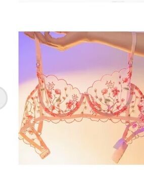 Embroidered Sheer Floral Balconette Bra - Pink